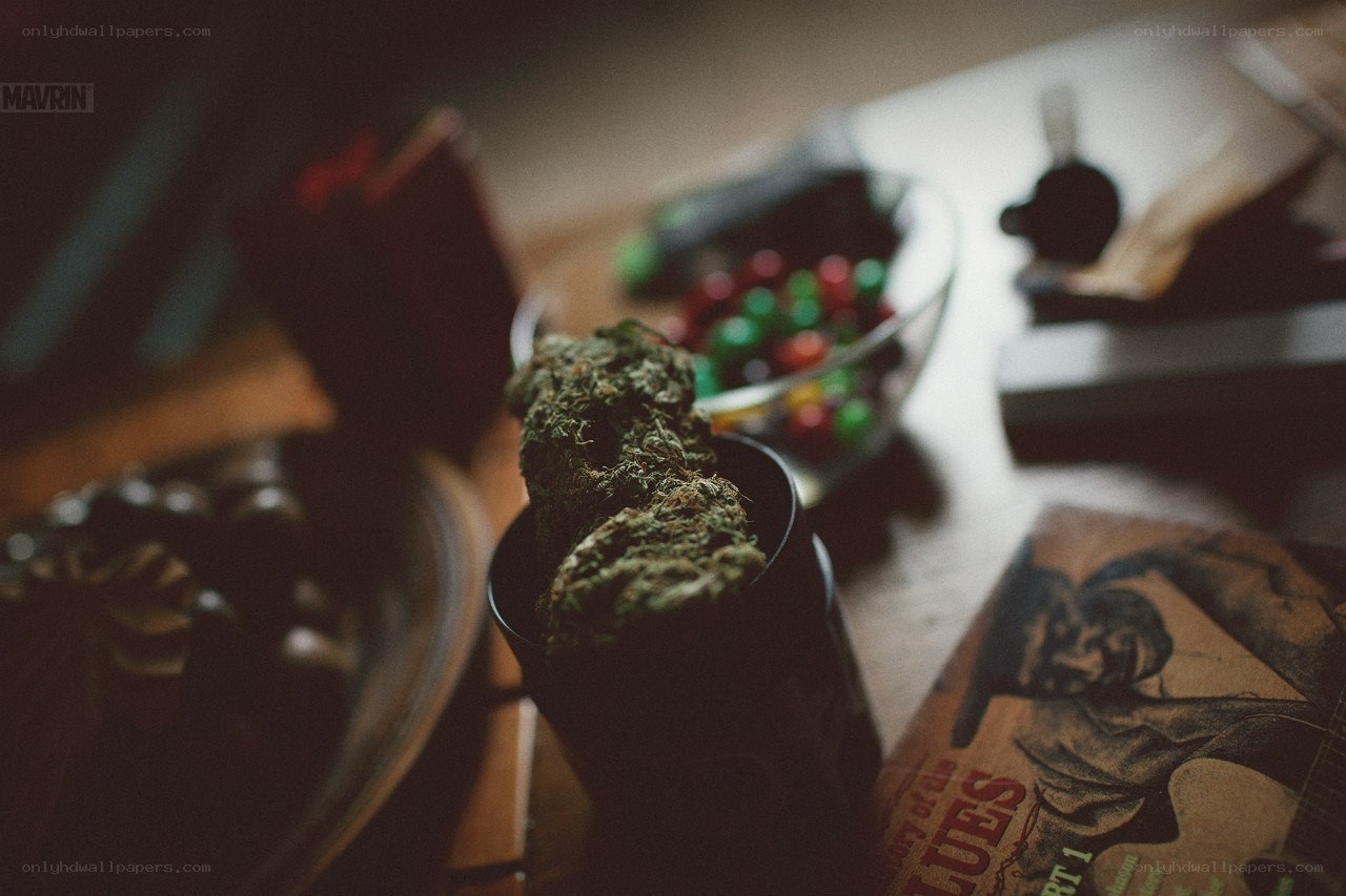 cannabis bud in a container