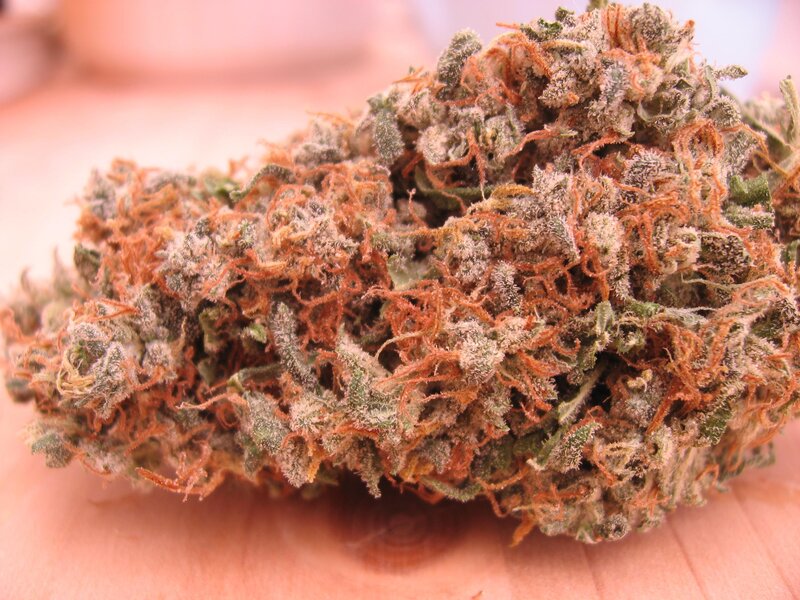 Cannabis Bud on Hand