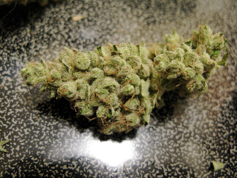 Cannabis Bud on Surface