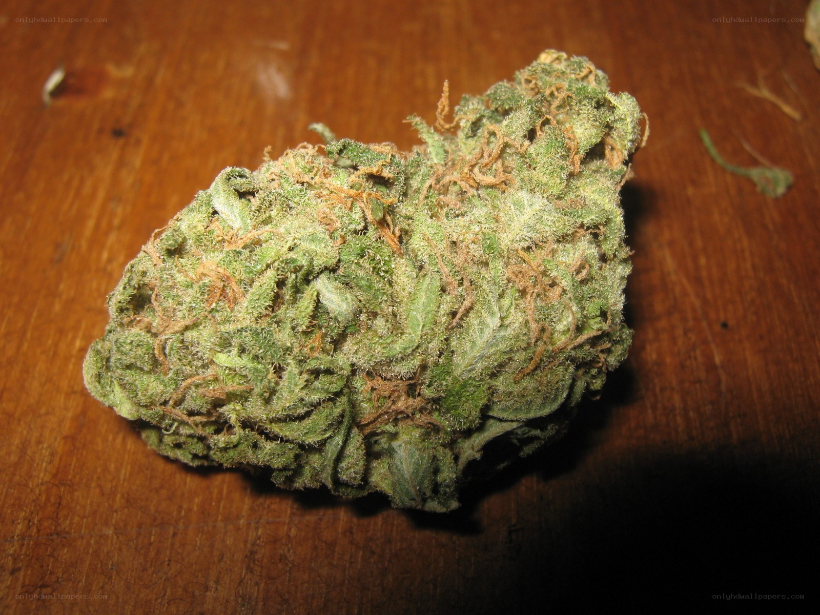 cannabis bud on wooden surface