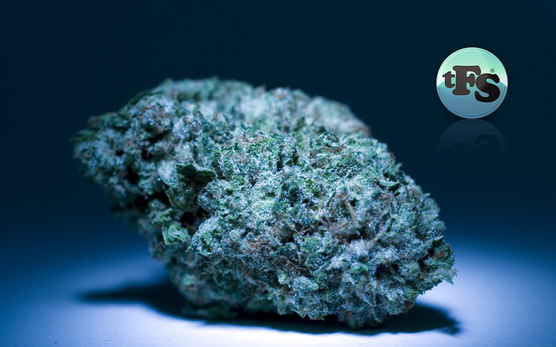 cannabis bud with watermark