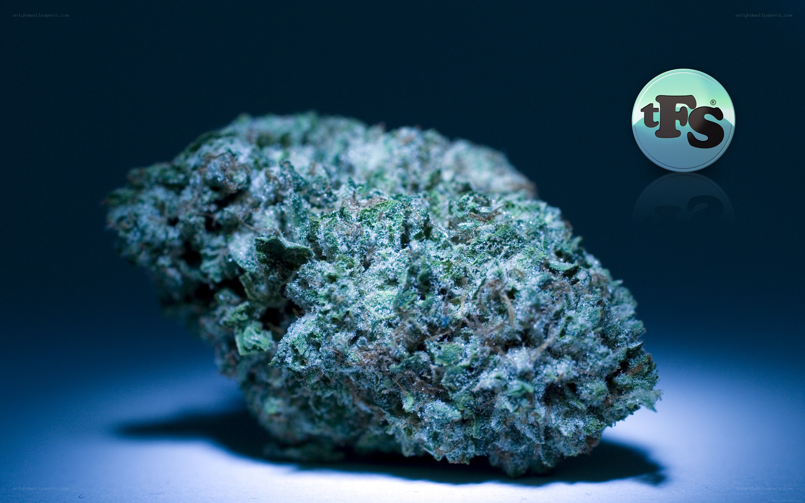 cannabis bud with watermark
