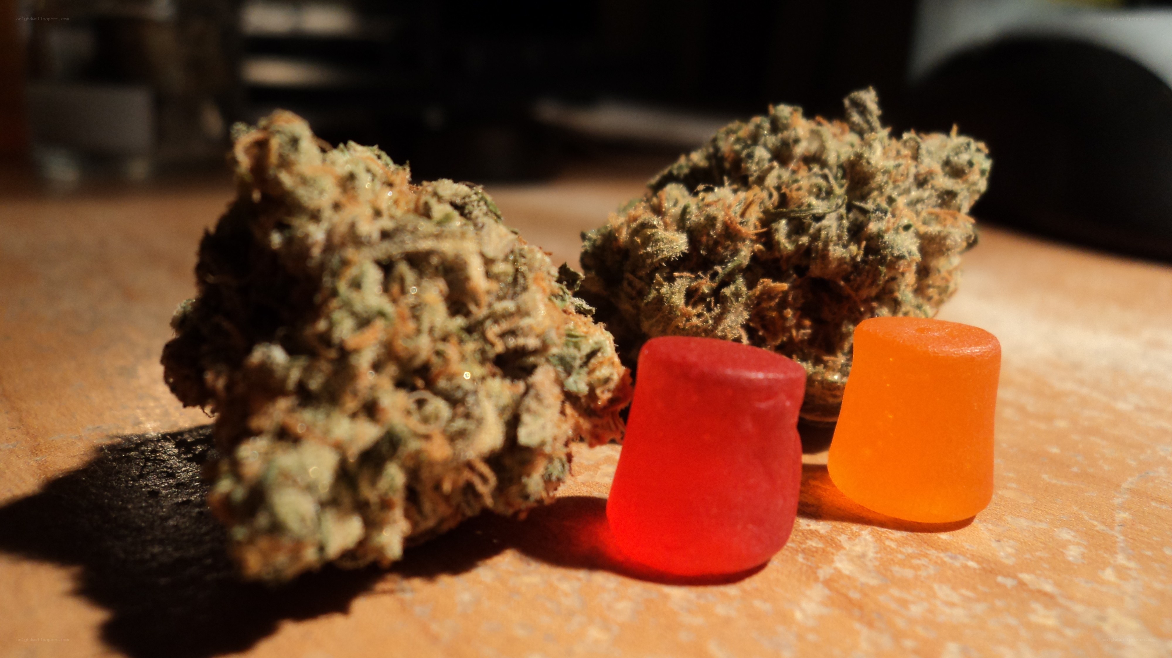 cannabis buds and gummies