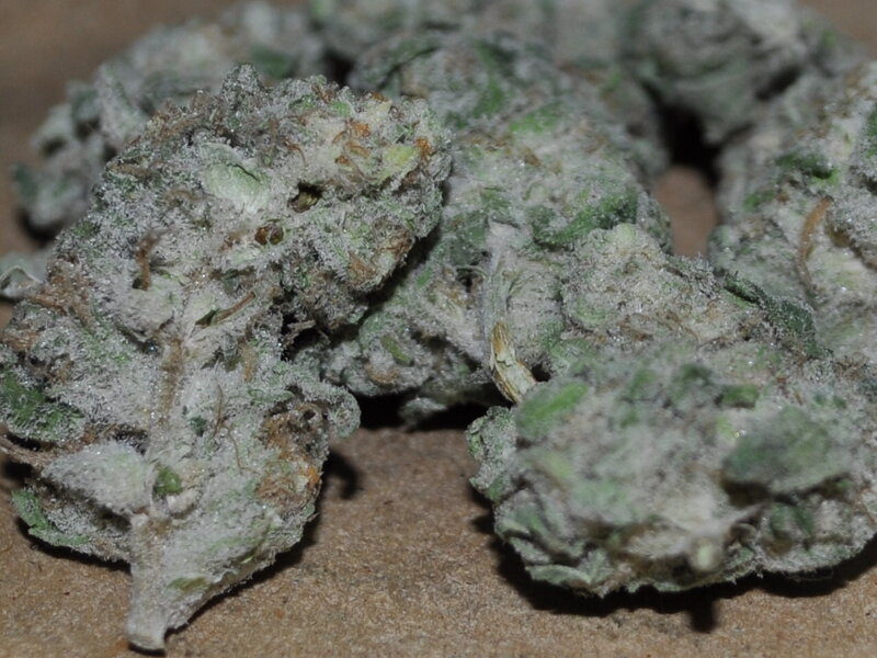 cannabis buds close-up