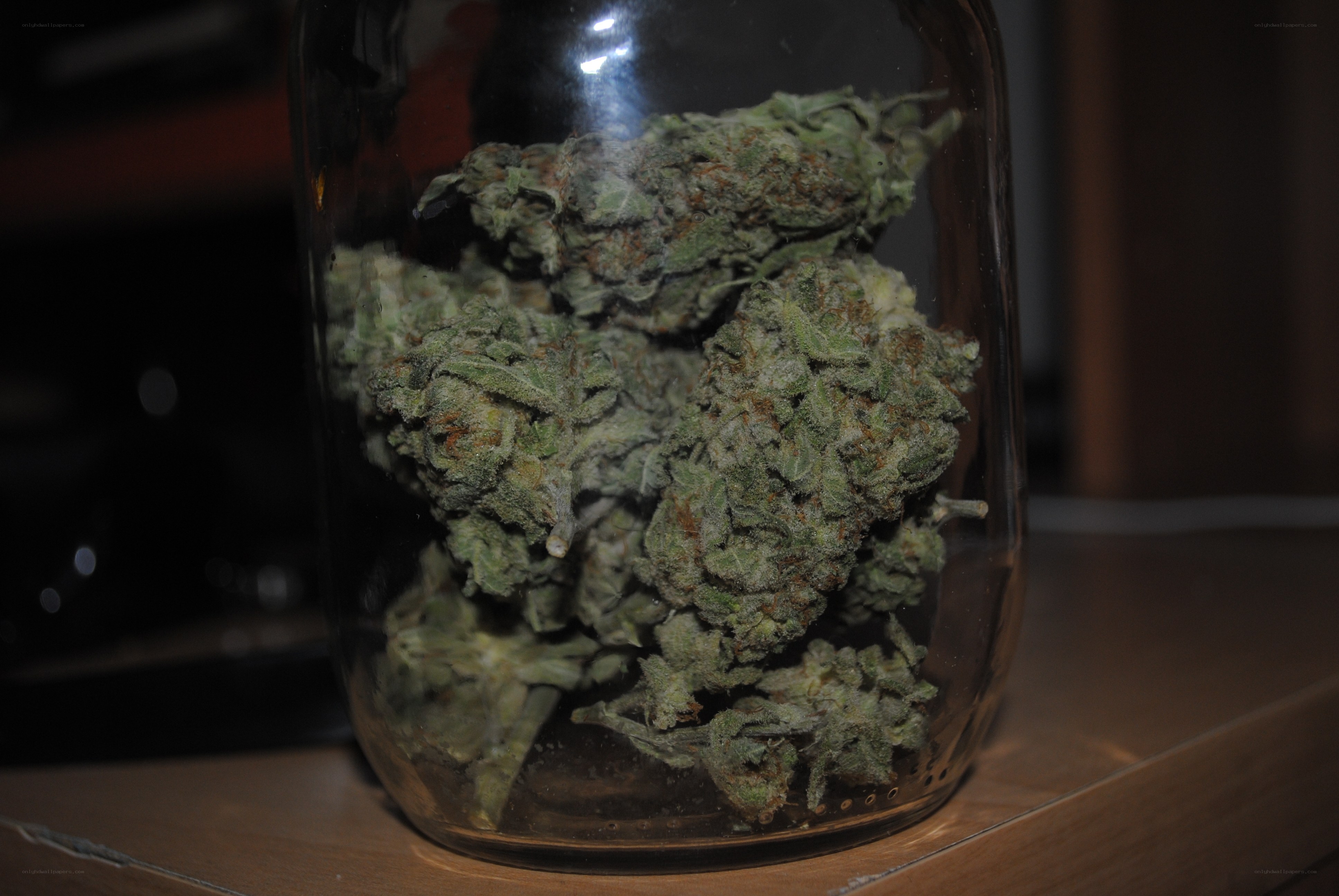 cannabis buds in a jar