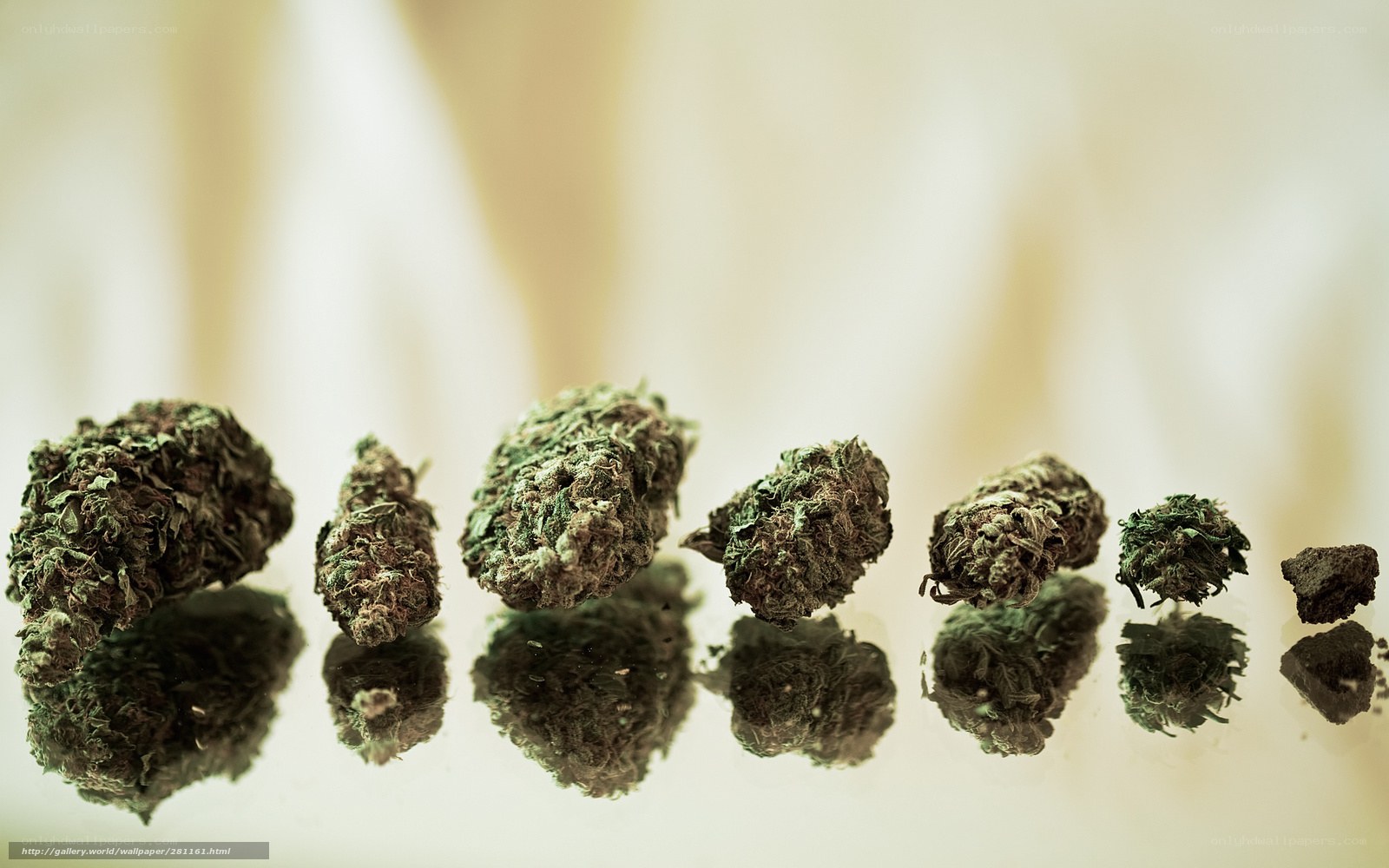 Cannabis buds in a row