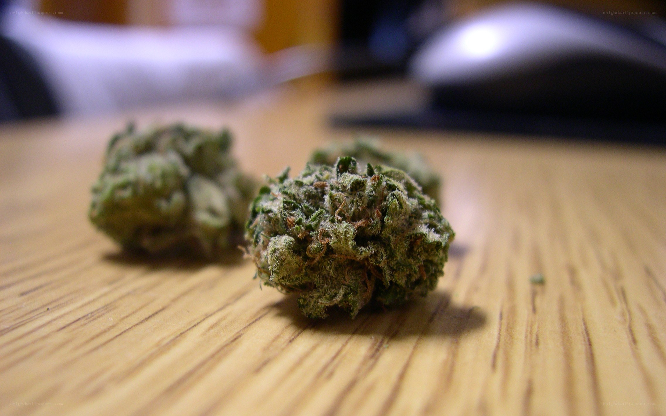 cannabis buds on a table