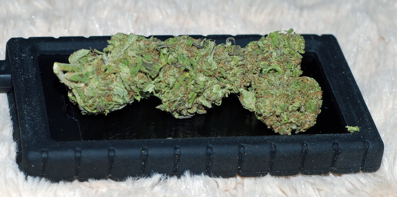 cannabis buds on a tray