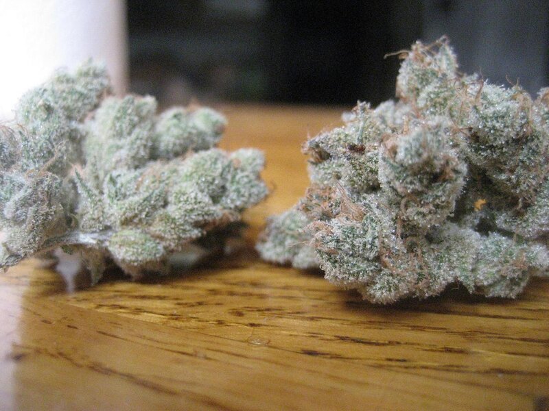 cannabis buds on wood