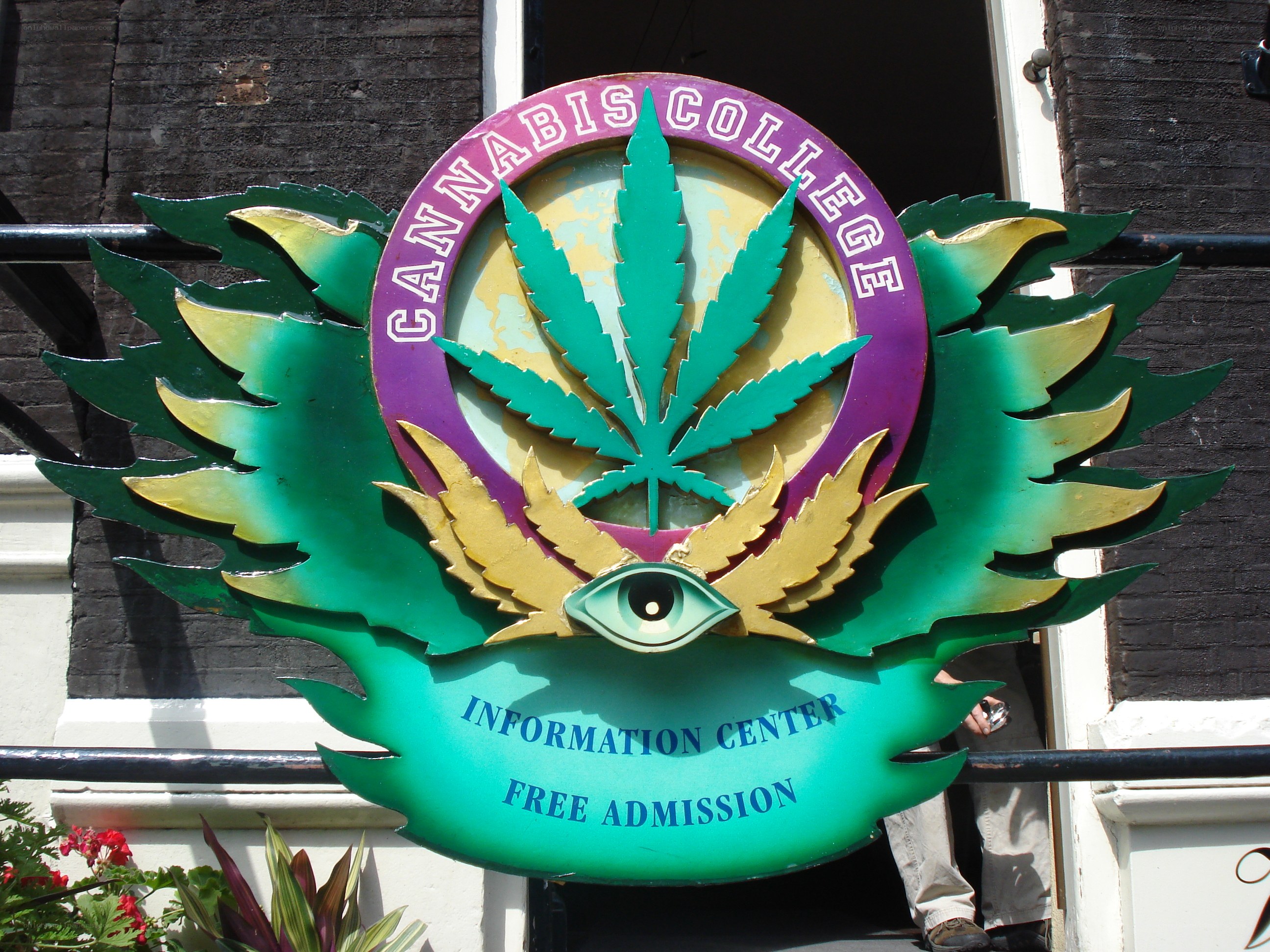 Cannabis College sign