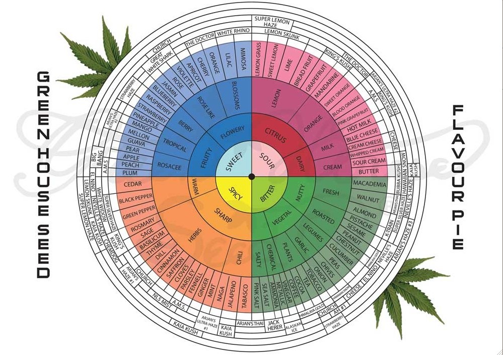 Cannabis Flavour Wheel