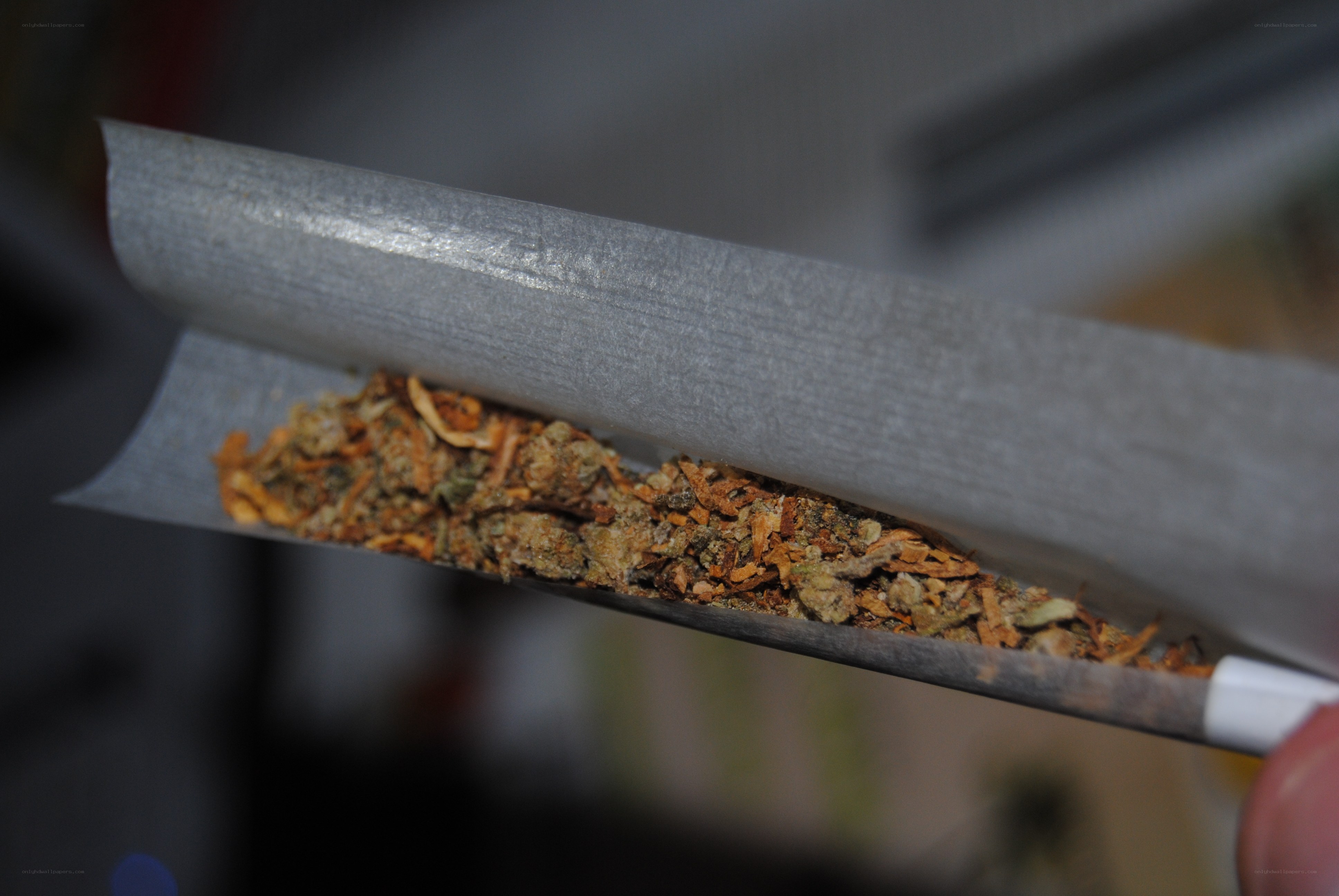 cannabis in a rolling paper