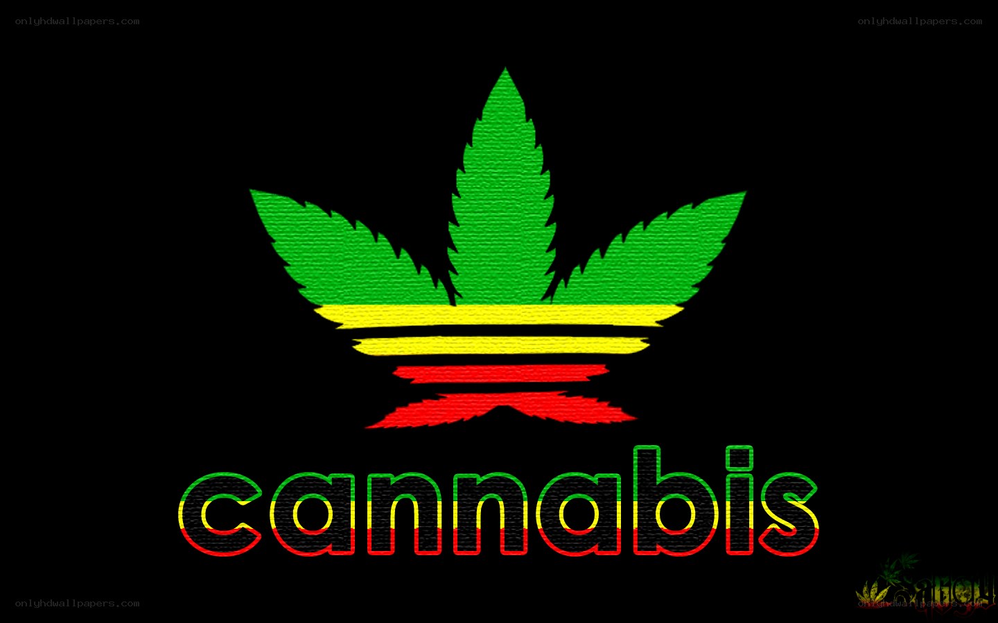 Cannabis leaf logo with Rasta colors