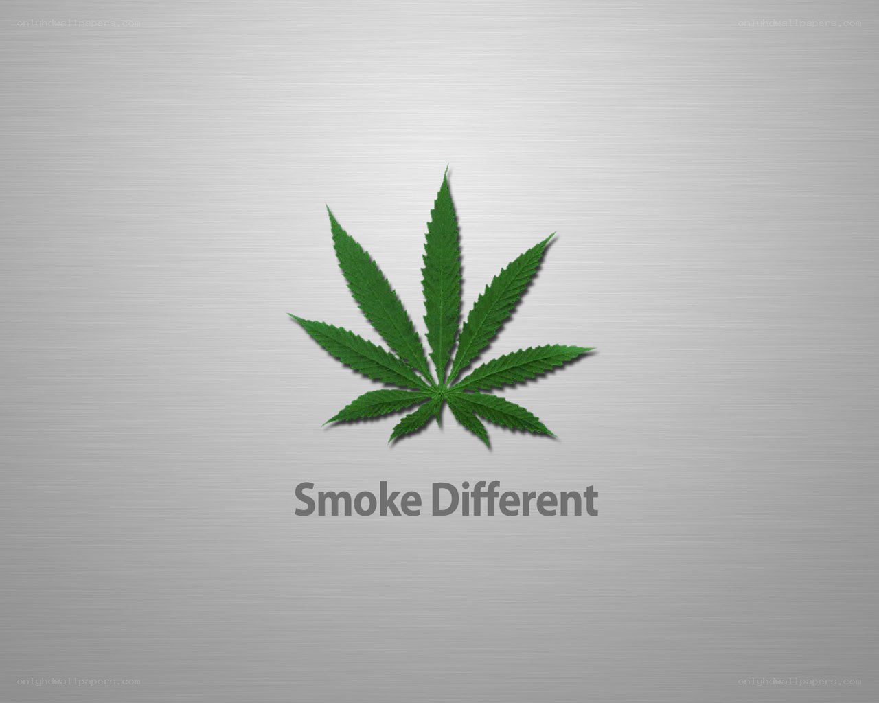 cannabis leaf logo