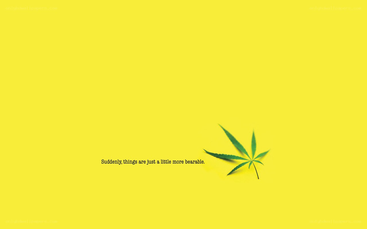 cannabis leaf on yellow