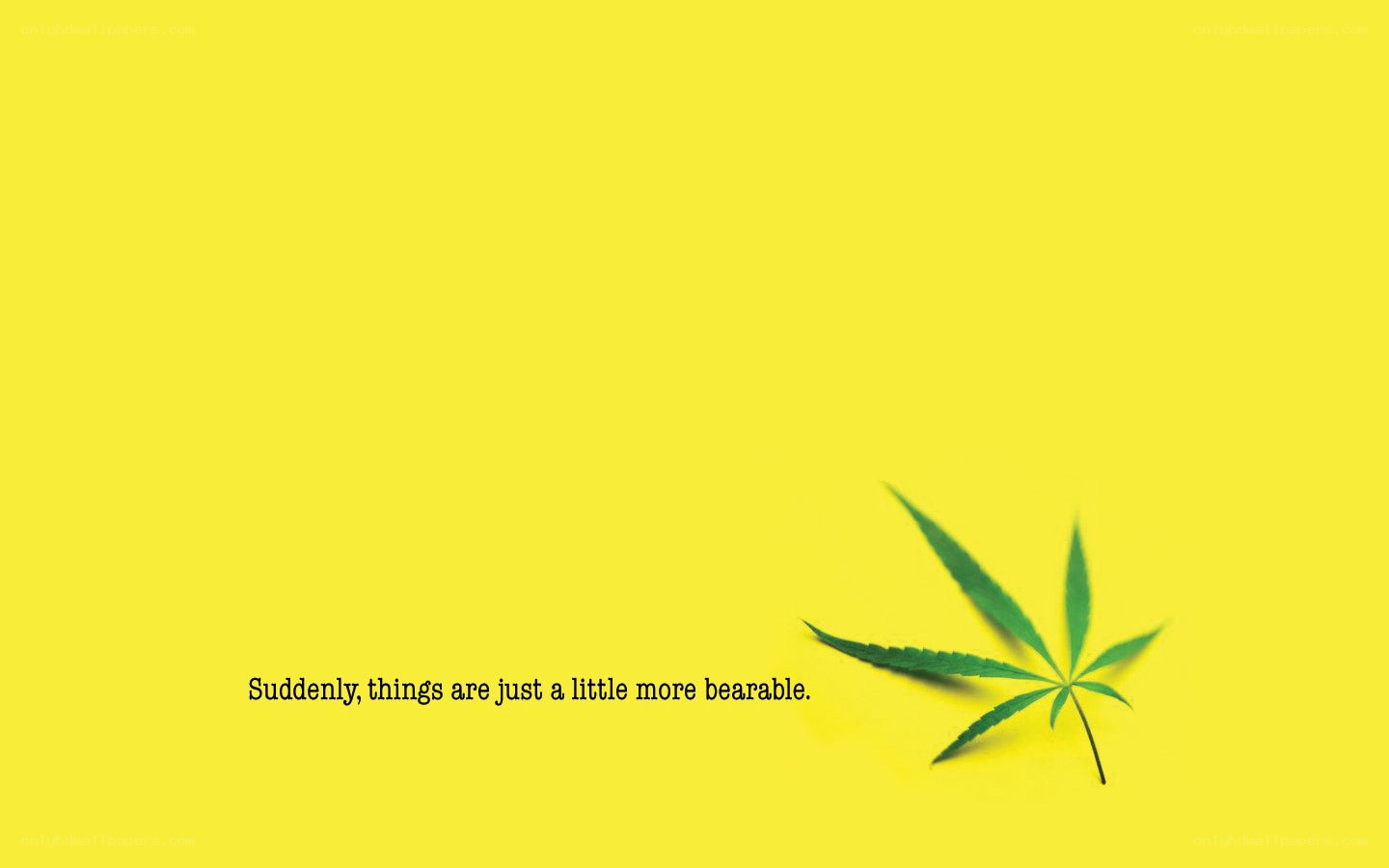 cannabis leaf with quote