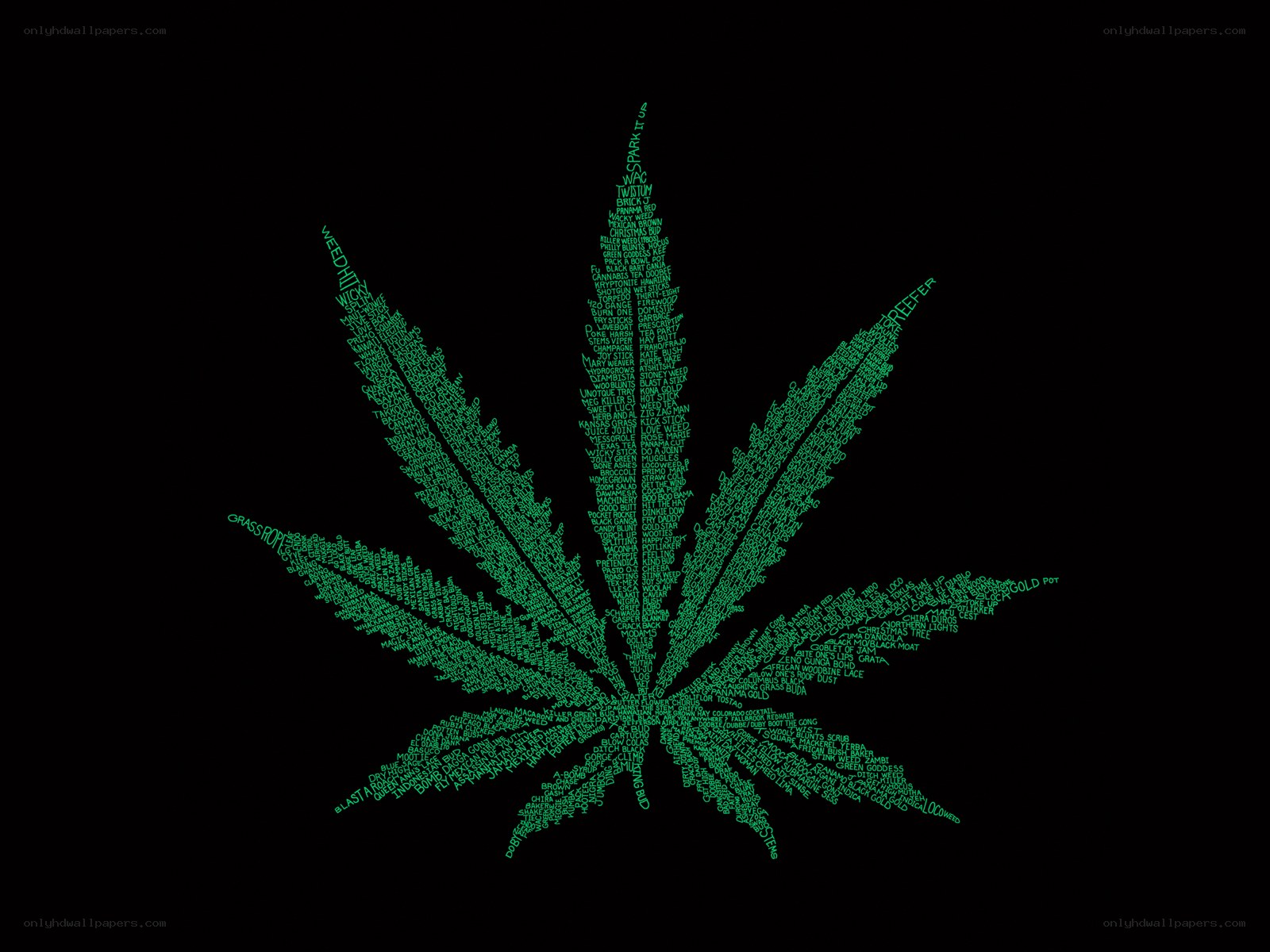 Cannabis leaf word art