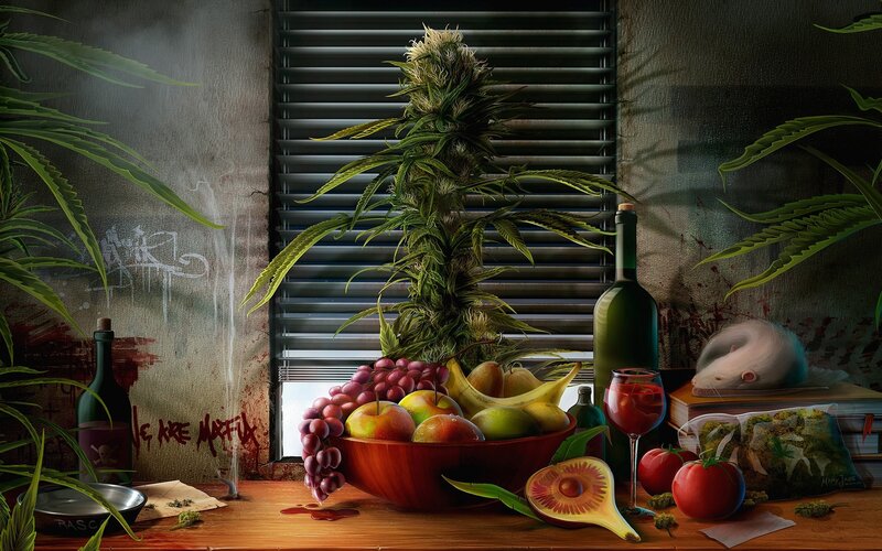 Cannabis Plant in Bowl