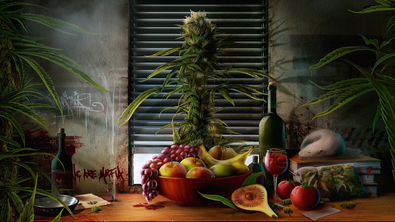 Cannabis Plant on Table — Green, Dramatic