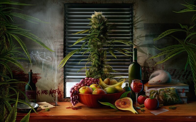 Cannabis Plant on Table — Green