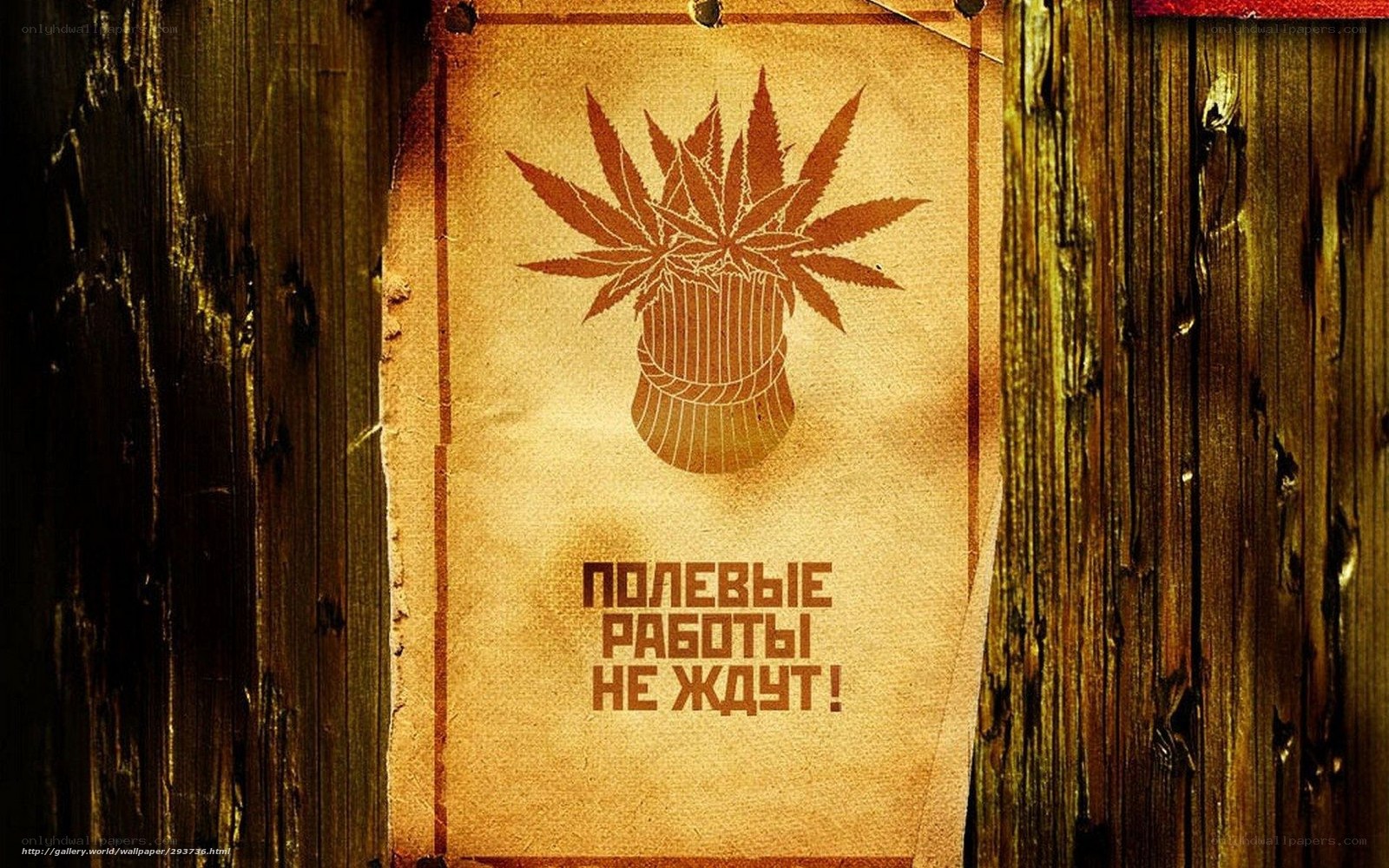 Cannabis poster on wood