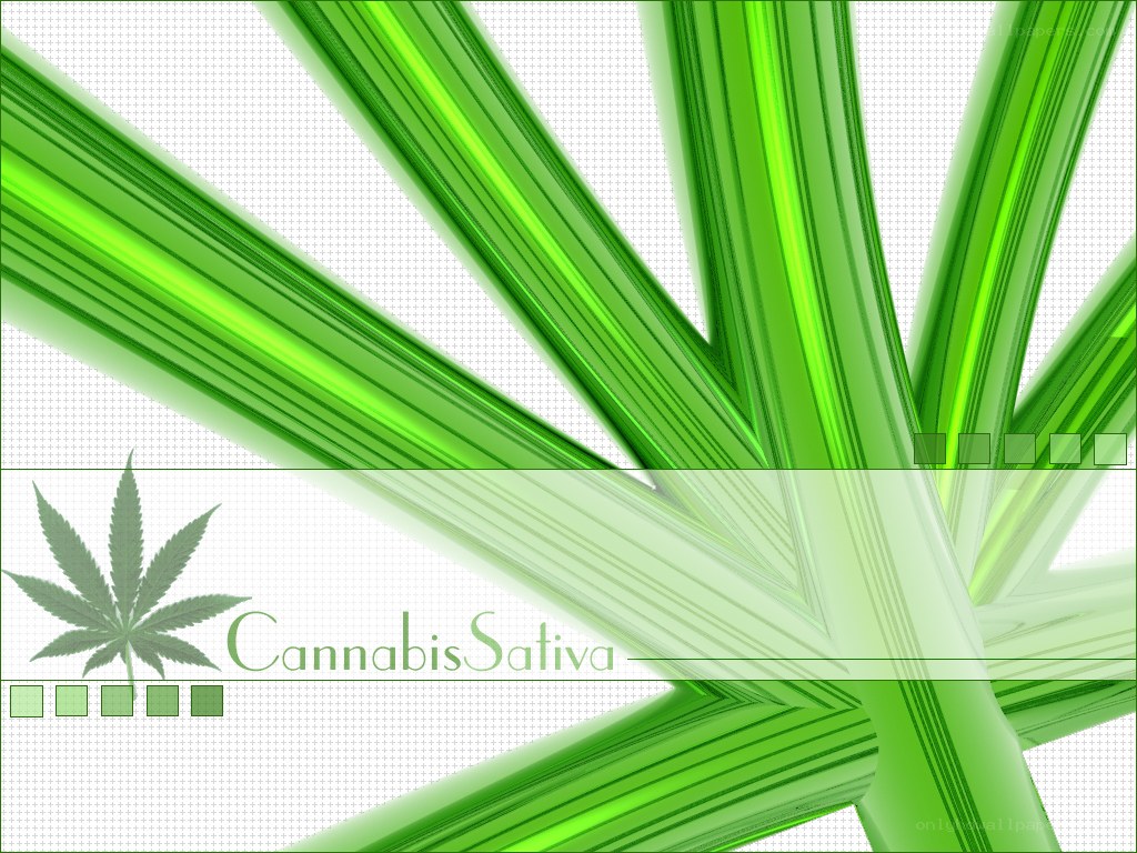 Cannabis Sativa leaf design