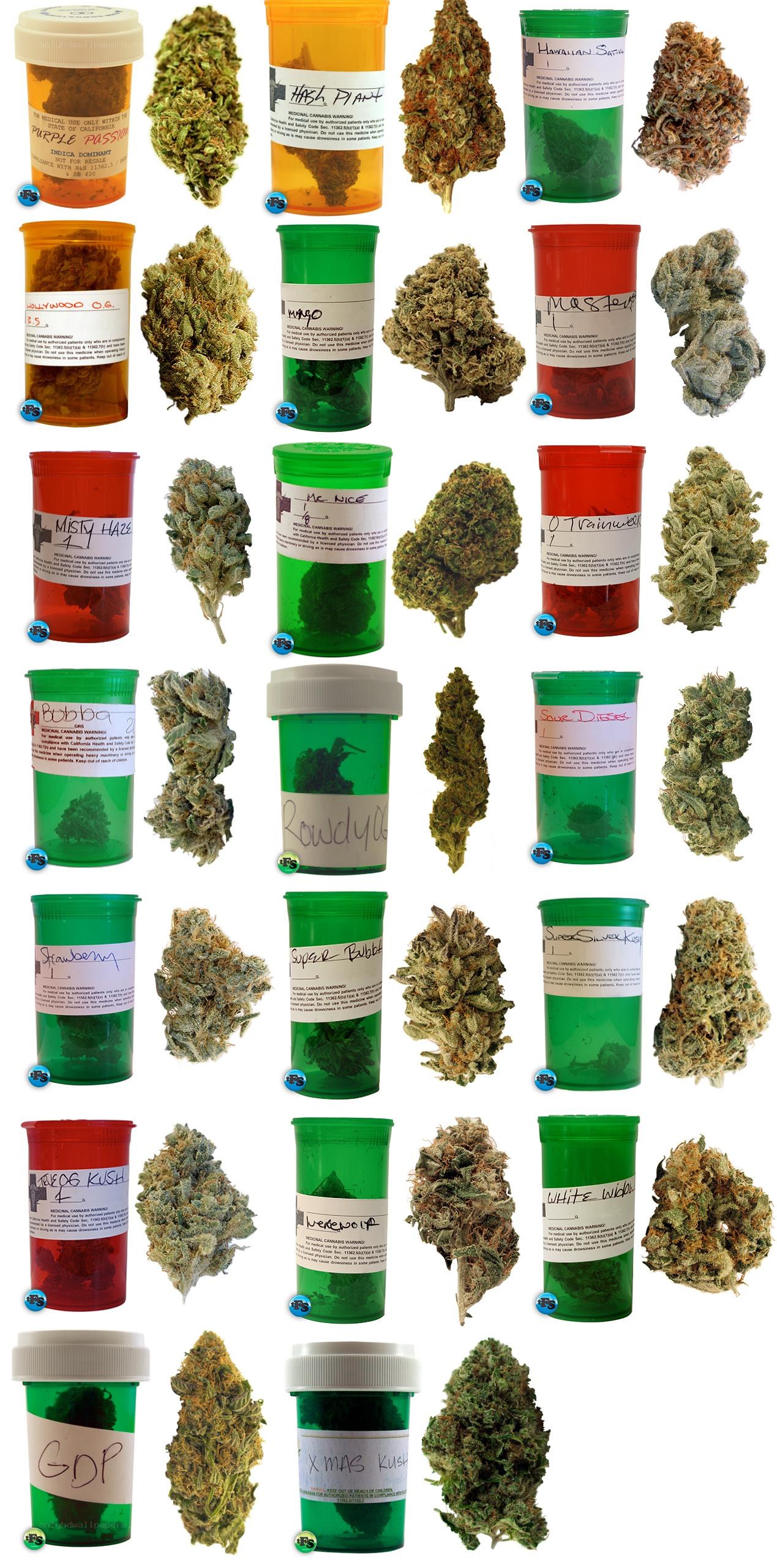 Cannabis strains in pill bottles