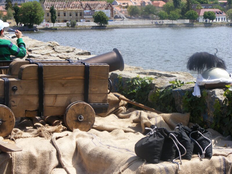 Cannon by the riverbank