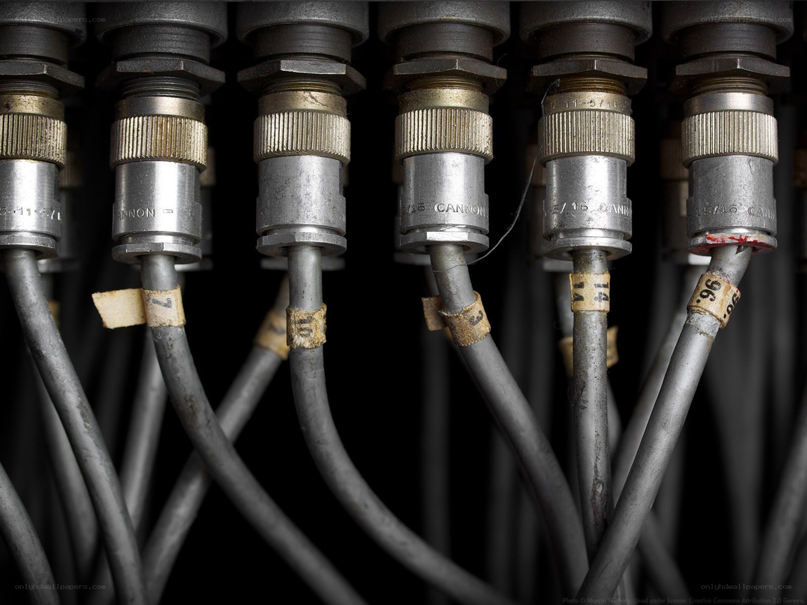 Cannon connectors on cables