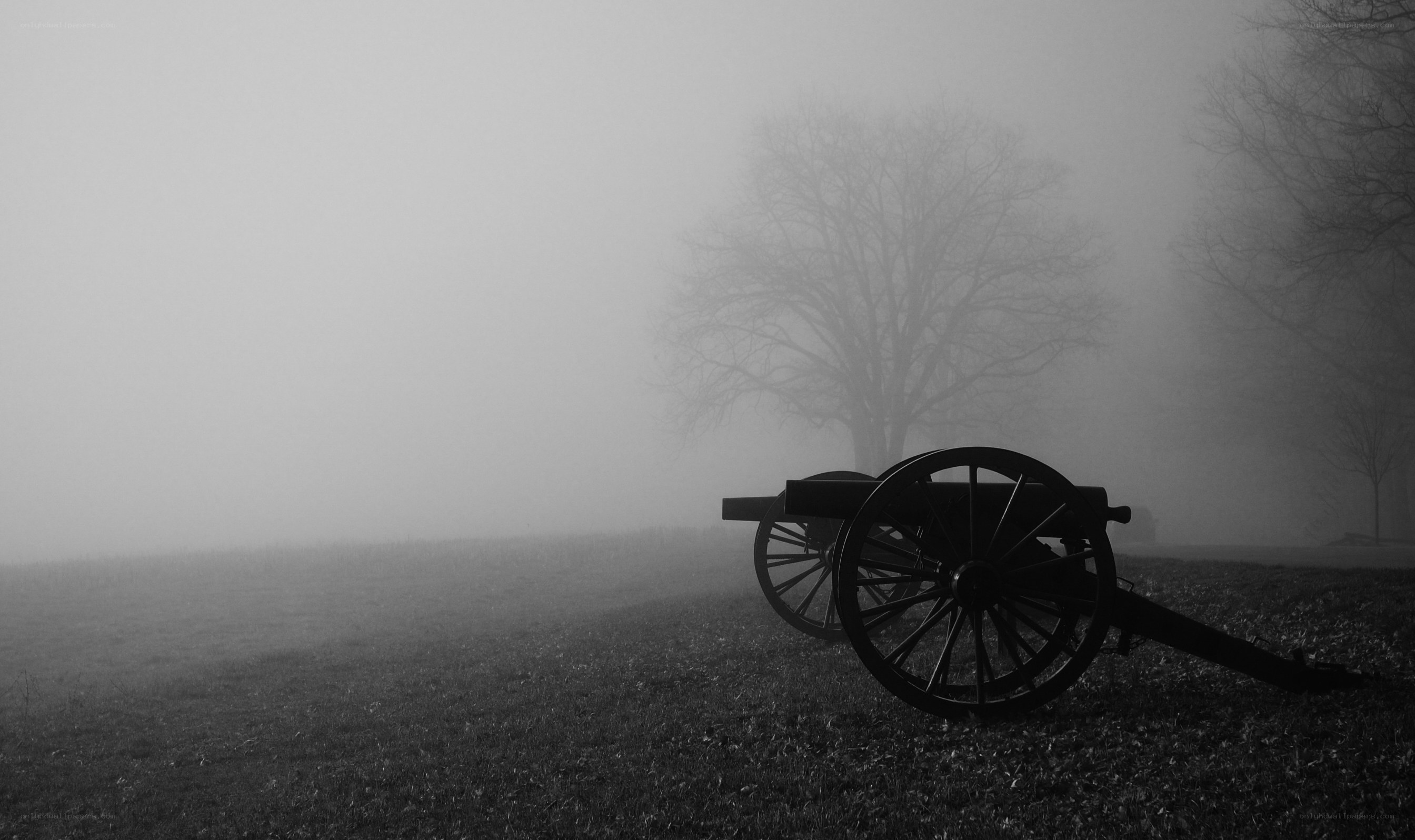 Cannon in foggy field