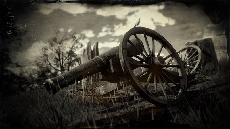 Cannon in Grass Field