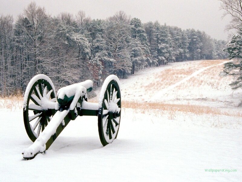 Cannon in Snow