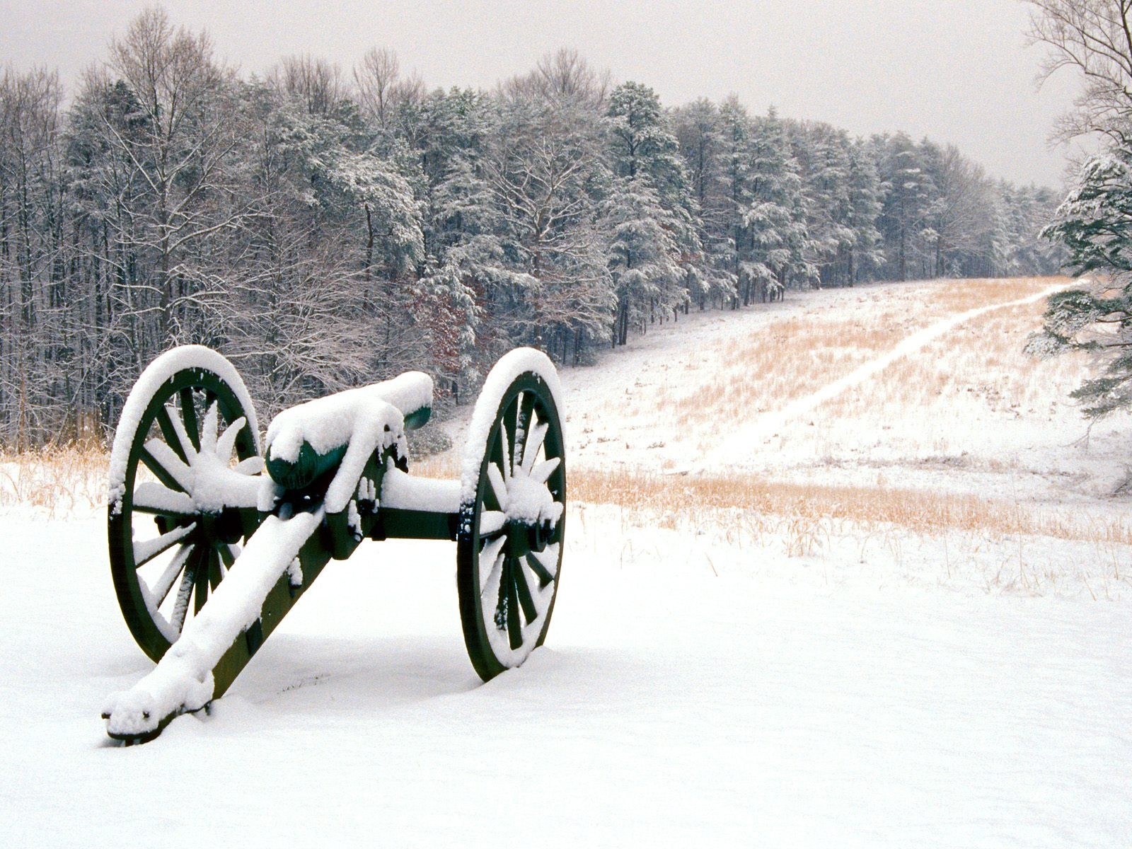 Cannon in snowy field
