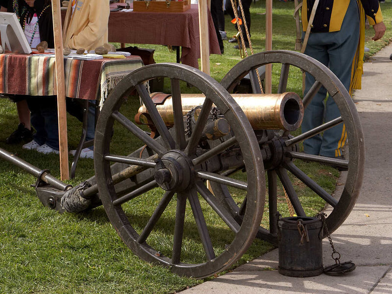 Cannon on Grass