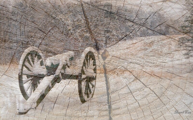 Cannon on tree ring background