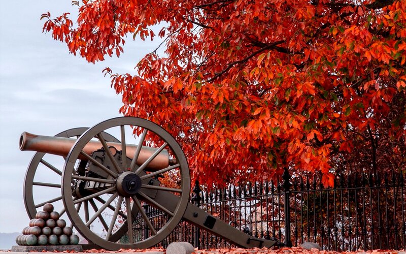 Cannon under Autumn Tree
