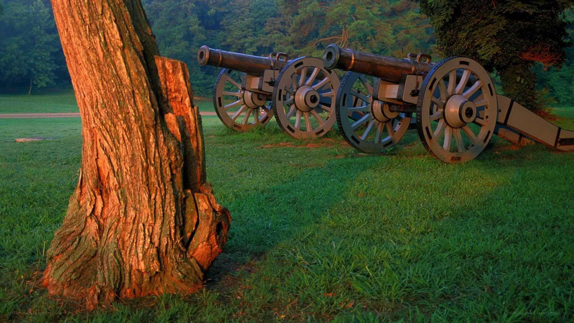 Cannons at a historic battlefield
