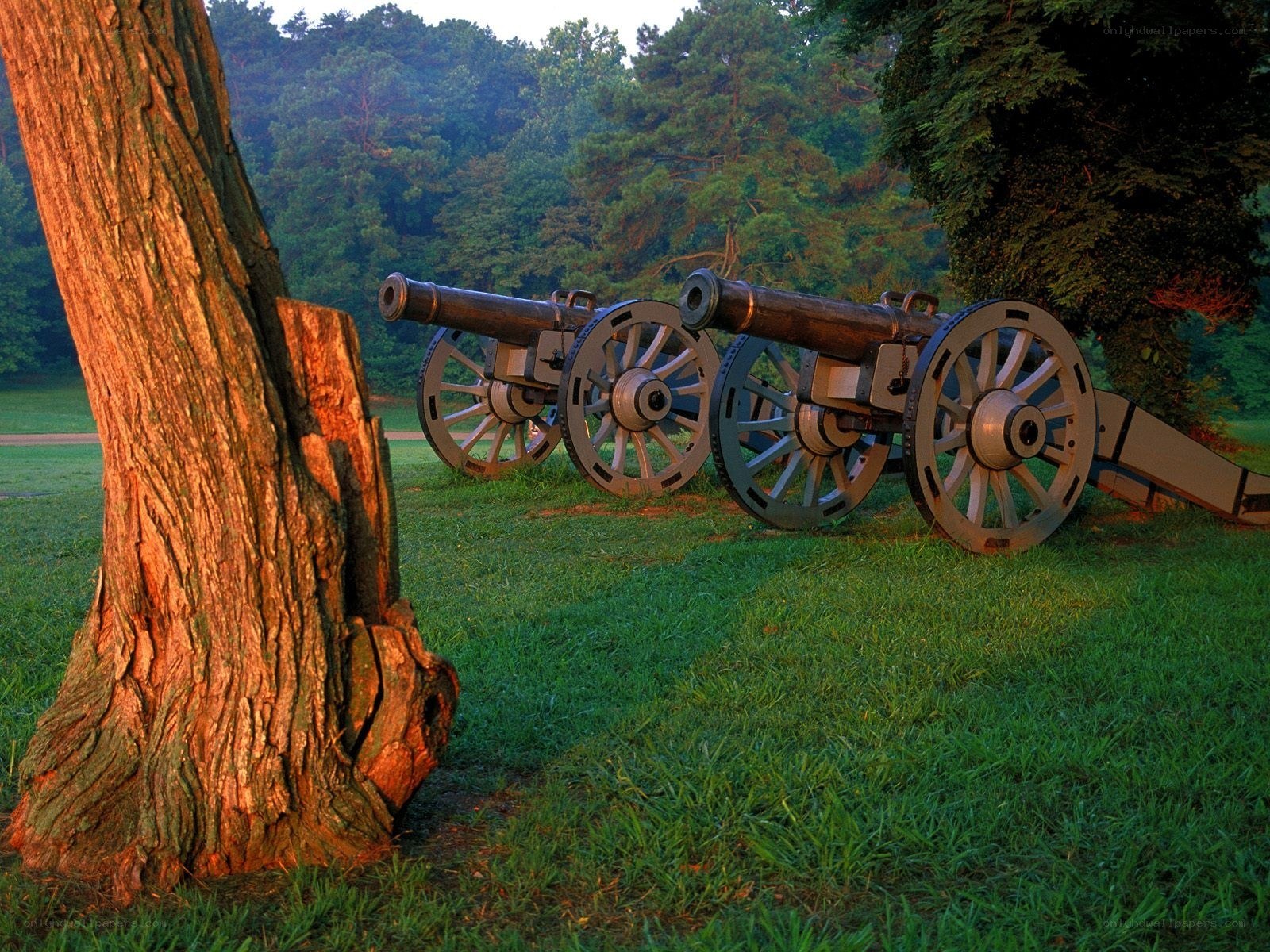 Cannons at a historic battlefield