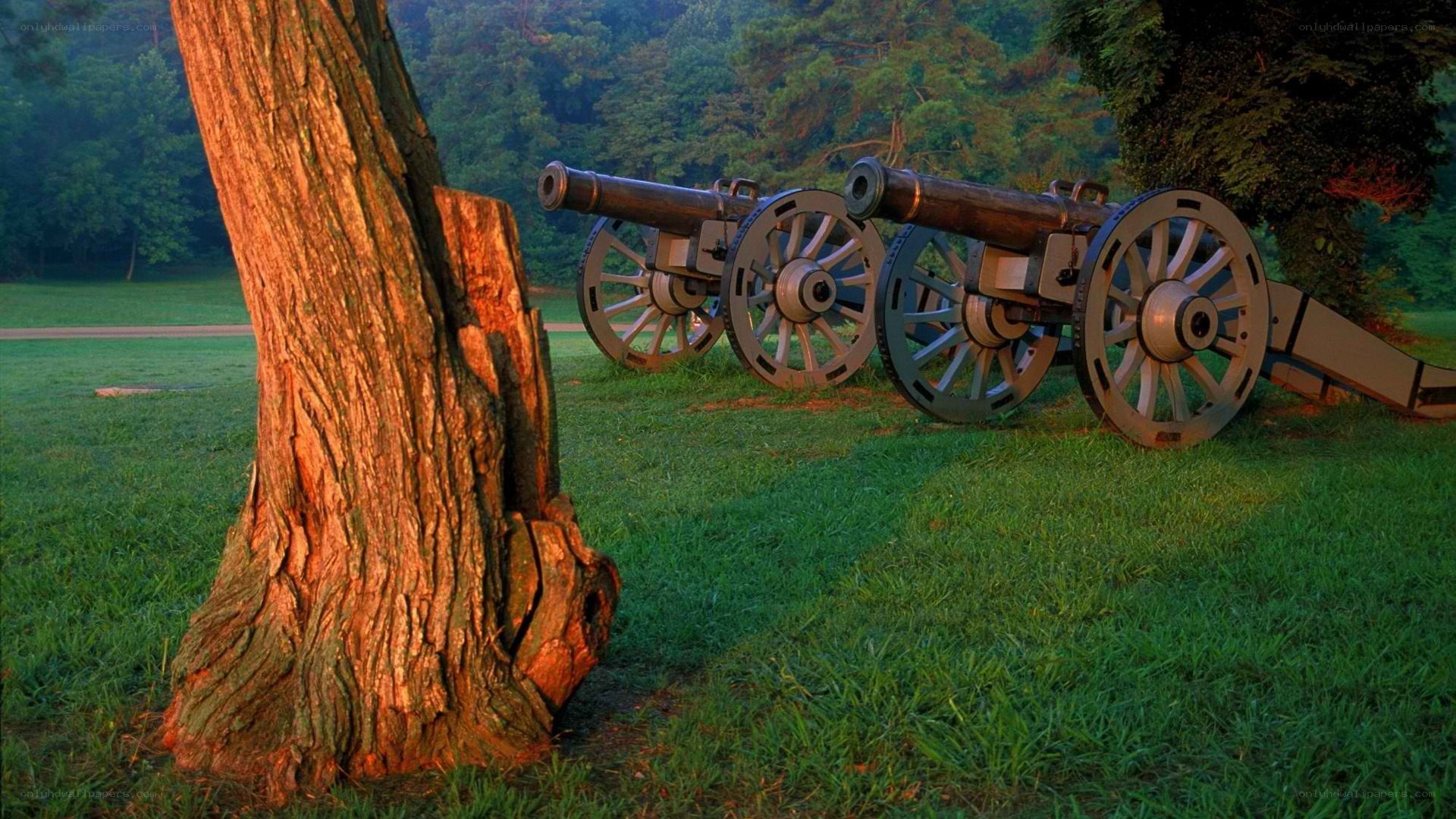 Cannons in a park at sunset
