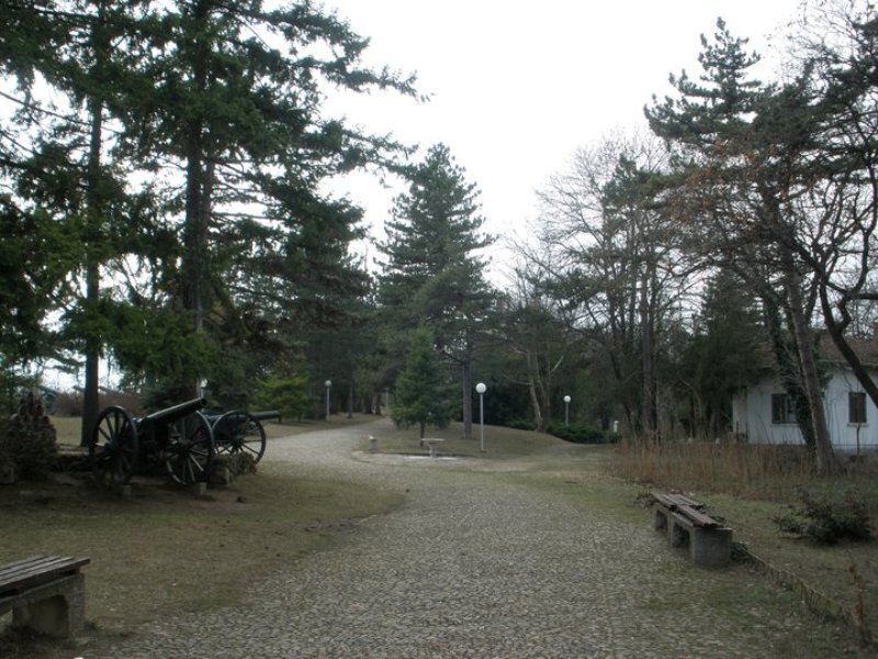 Cannons in Park