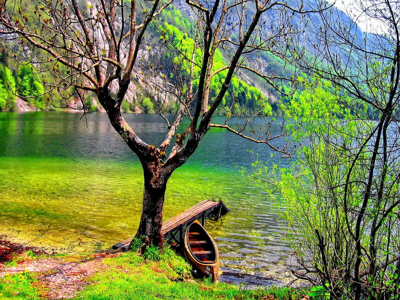 Canoe at Lakeside