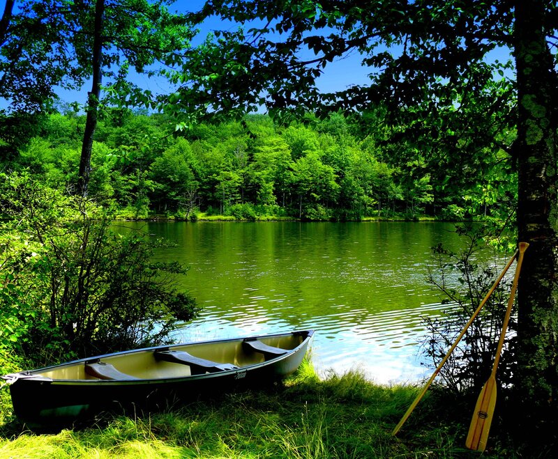 Canoe by a forest lake