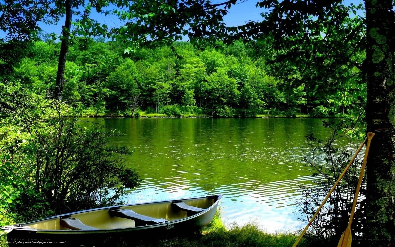 Canoe by a forest lake