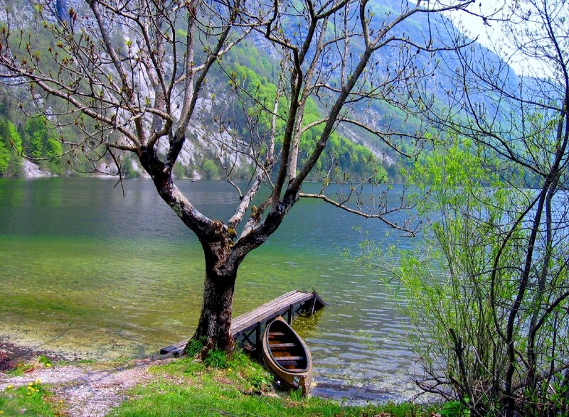 Canoe by Lake Shore