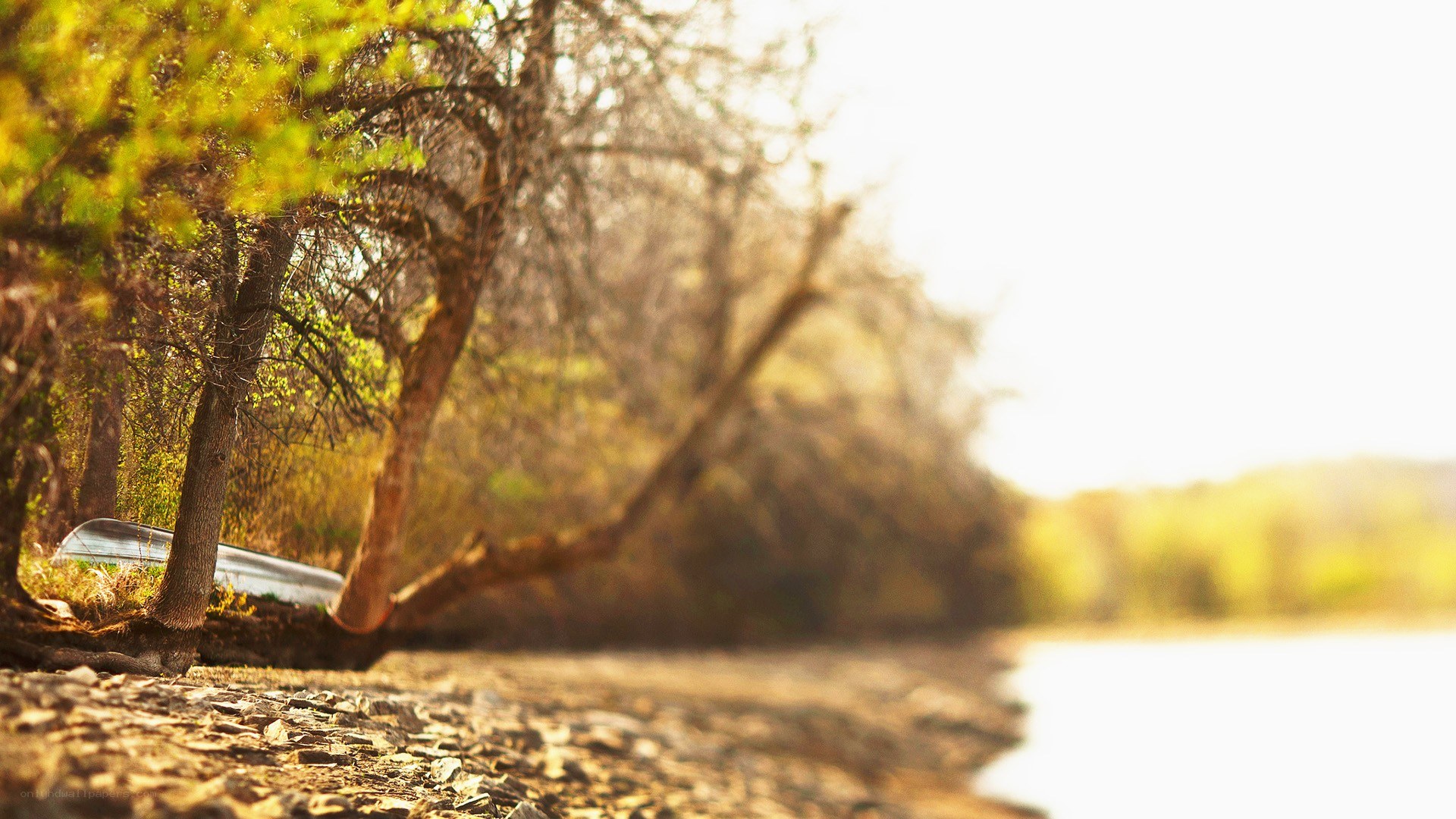 canoe by the riverbank