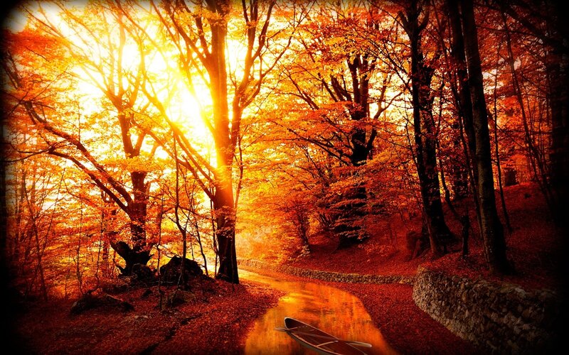 Canoe in Autumn Forest — Orange