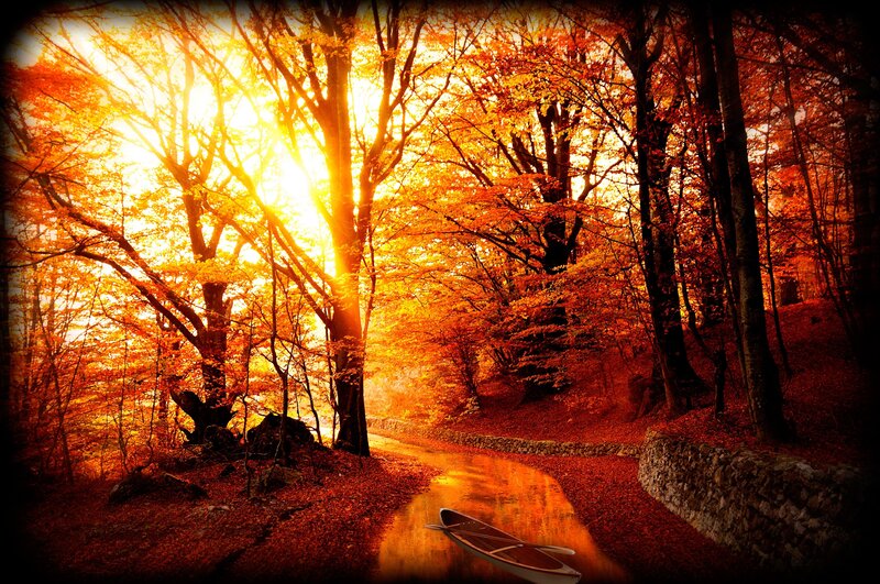Canoe in Autumn Forest