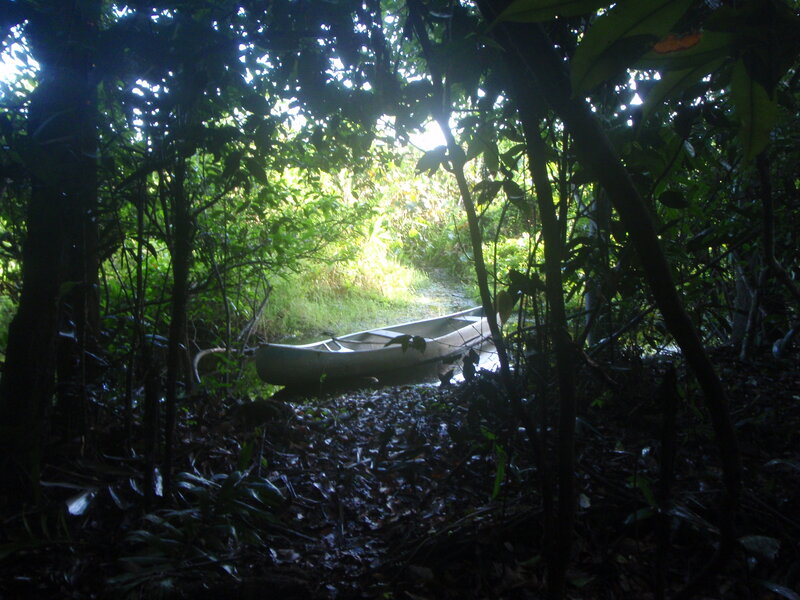 Canoe in forest clearing
