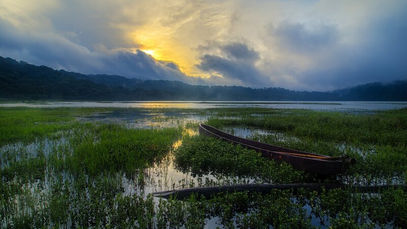Canoe in Marshland — Green