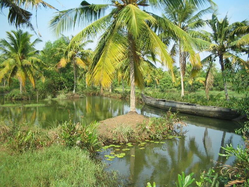 Canoe on a River — Green